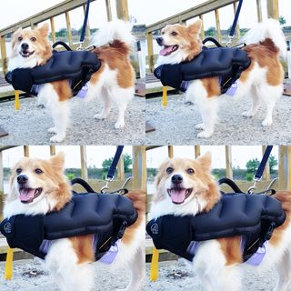 림림님이 올린 리뷰 사진 1