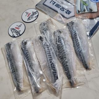 ㈜금호통상 노르웨이 고등어 900g (6~10편) — 5점을 준 리뷰어가 2023년 6월 올린 사용 사진
