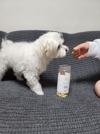 부르르펫 야미트릿 틸라피아 60g — 4점을 준 리뷰어가 2021년 11월 올린 사용 사진