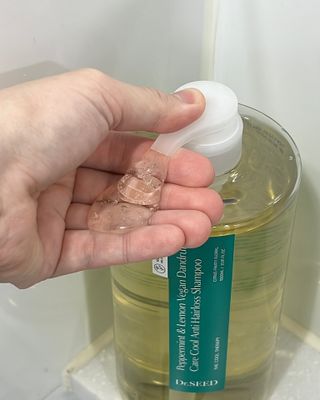 닥터시드 페퍼민트 앤 레몬 비건 비듬케어 쿨 탈모 샴푸 (1000ml) — 5점을 준 리뷰어가 2024년 2월 올린 사용 사진