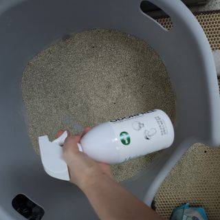 부우기님이 올린 리뷰 사진 4