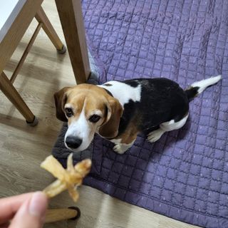 서희님이 올린 리뷰 사진 1