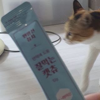 페페로니 잘 먹는 캣츄 - 원양선 참치 24개입 — 5점을 준 리뷰어가 2021년 8월 올린 사용 사진