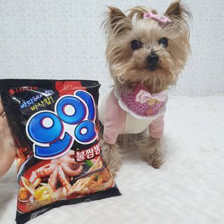 솜희님이 올린 리뷰 사진 4