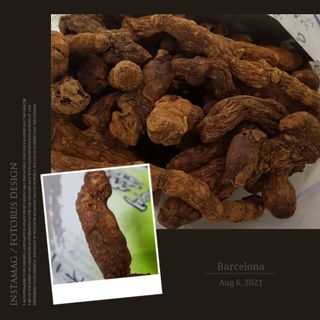 통통이님이 올린 리뷰 사진 4