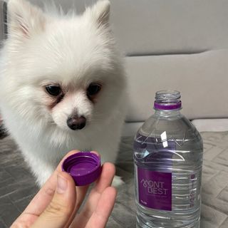 몽베스트 MONTBEST 1L 12입 — 5점을 준 리뷰어가 2022년 12월 올린 사용 사진