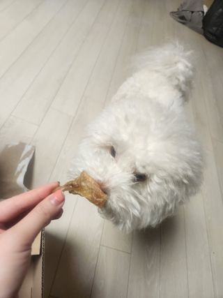 쥬쥬님이 올린 리뷰 사진 2