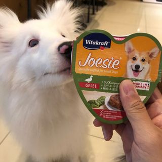 비타크래프트 조에시 하트캔 85g 강아지 습식캔 10캔 — 5점을 준 리뷰어가 2021년 7월 올린 사용 사진