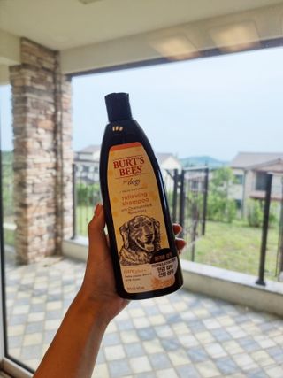 신해인님이 올린 리뷰 사진 3