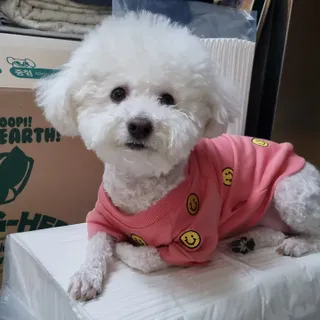 빙빙이님이 올린 리뷰 사진 4