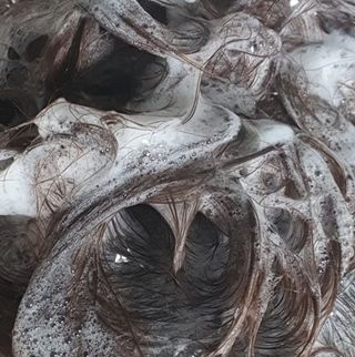 [바디홈즈] 골드 마유 샴푸 — 5점을 준 리뷰어가 2021년 1월 올린 사용 사진