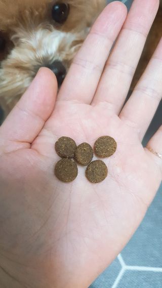 모떼네님이 올린 리뷰 사진 4
