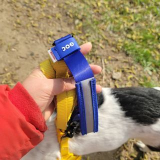 노이님이 올린 리뷰 사진 3