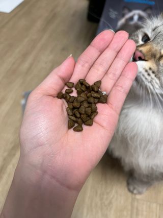 hanav님이 올린 리뷰 사진 3