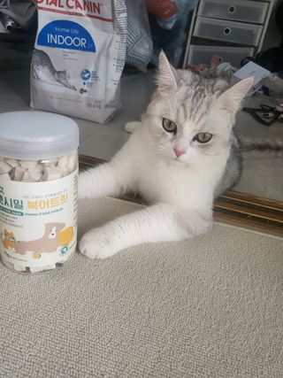 매너유딩님이 올린 리뷰 사진 4