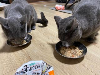뚜덩맘님이 올린 리뷰 사진 3