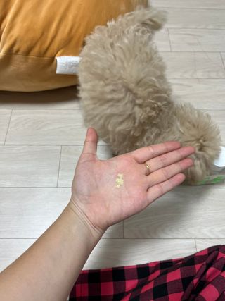 안늉숭늉님이 올린 리뷰 사진 2