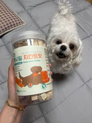 [펫시밀] 원물그대로 영양듬뿍 진공동결건조 북어트릿75g,치킨트릿100g,연어트릿75g 강아지 고양이 간식 — 5점을 준 리뷰어가 2023년 5월 올린 사용 사진