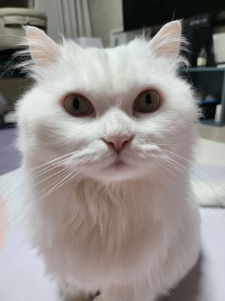 Woo7C님이 올린 리뷰 사진 1