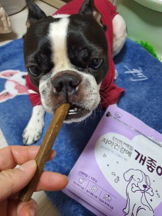My Pet Care 천연단백질 치아건강에 개좋아 — 5점을 준 리뷰어가 2021년 2월 올린 사용 사진