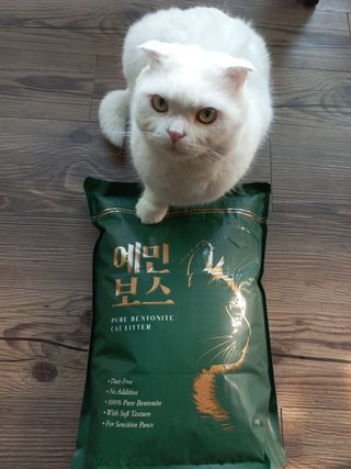 좋아님이 올린 리뷰 사진 1