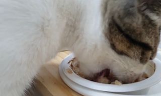 행복하고건강하기님이 올린 리뷰 사진 3