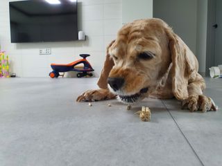 찬이애비님이 올린 리뷰 사진 2