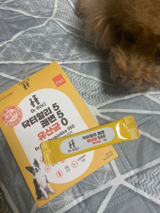 코끼리님이 올린 리뷰 사진 1