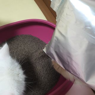 동주맘님이 올린 리뷰 사진 3
