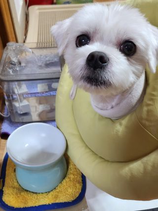 𝒄𝒉𝒂𝒓𝒎𝒊𝒏𝒈님이 올린 리뷰 사진 4