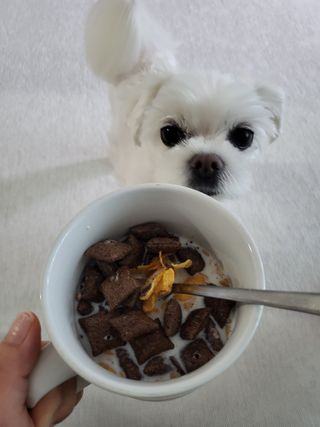 뽀오오옹님이 올린 리뷰 사진 2