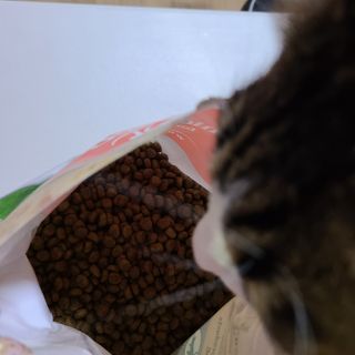 글라라5205님이 올린 리뷰 사진 3