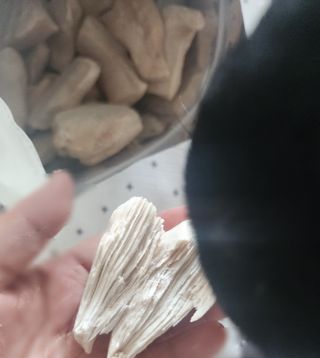 [펫시밀] 원물그대로 영양듬뿍 동결건조 왕북어트릿300g,왕치킨트릿400g,열빙어트릿300g 대용량 간식 — 5점을 준 리뷰어가 2023년 5월 올린 사용 사진