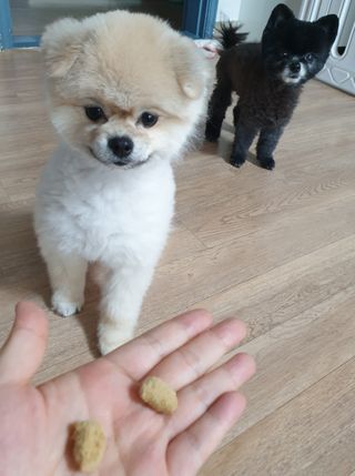 양소라님이 올린 리뷰 사진 3