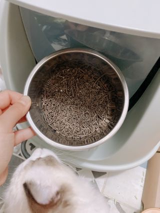 새벽님이 올린 리뷰 사진 3