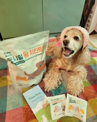 [펫시밀] 원물그대로 영양듬뿍 동결건조 왕북어트릿300g,왕치킨트릿400g,열빙어트릿300g 대용량 간식 — 5점을 준 리뷰어가 2023년 5월 올린 사용 사진