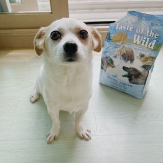 hing20님이 올린 리뷰 사진 4