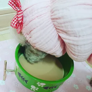 미니코코님이 올린 리뷰 사진 4