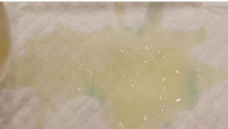 아베크 펫 와이드 프리미엄 대형 애견 강아지 배변 패드 30매 1팩 80g — 5점을 준 리뷰어가 2021년 7월 올린 사용 사진