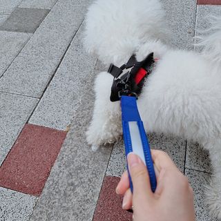 우주님이 올린 리뷰 사진 2