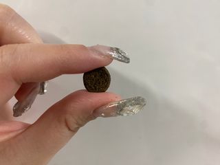 캐닌캐비어 알카라인 홀리스틱 그레이프리 앙뜨레 ALS_4종 오픈스카이, 와일드오션, 프리스피릿, 스페셜니즈 — 3.5점을 준 리뷰어가 2023년 2월 올린 사용 사진