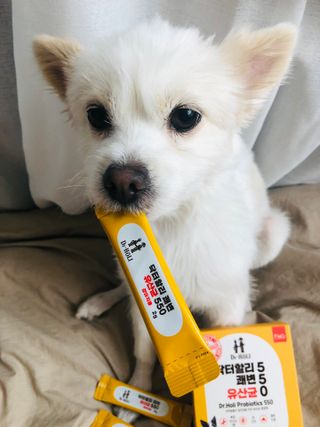 Lily님이 올린 리뷰 사진 1