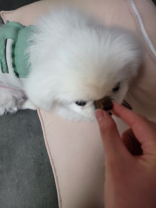 ruler.zero님이 올린 리뷰 사진 3