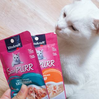 비타크래프트 고양이 수프 50g 3가지맛 x4팩씩 총 12팩 — 5점을 준 리뷰어가 2021년 8월 올린 사용 사진