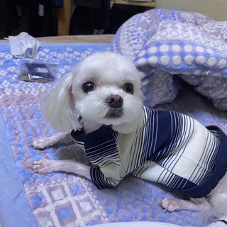 세지니힛님이 올린 리뷰 사진 1