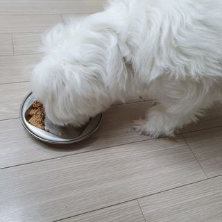 lala님이 올린 리뷰 사진 3