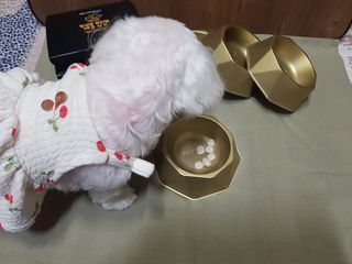 두부님이 올린 리뷰 사진 4