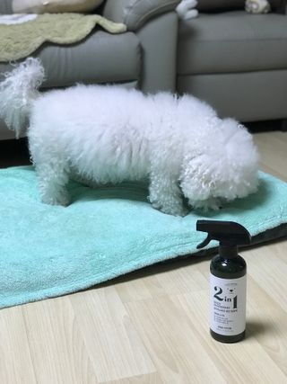 에그마요님이 올린 리뷰 사진 3