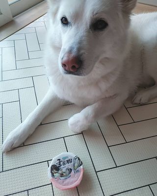 딸랑구둘🥰님이 올린 리뷰 사진 1