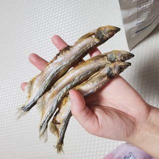 [펫시밀] 원물그대로 영양듬뿍 동결건조 왕북어트릿300g,왕치킨트릿400g,열빙어트릿300g 대용량 간식 — 5점을 준 리뷰어가 2023년 5월 올린 사용 사진